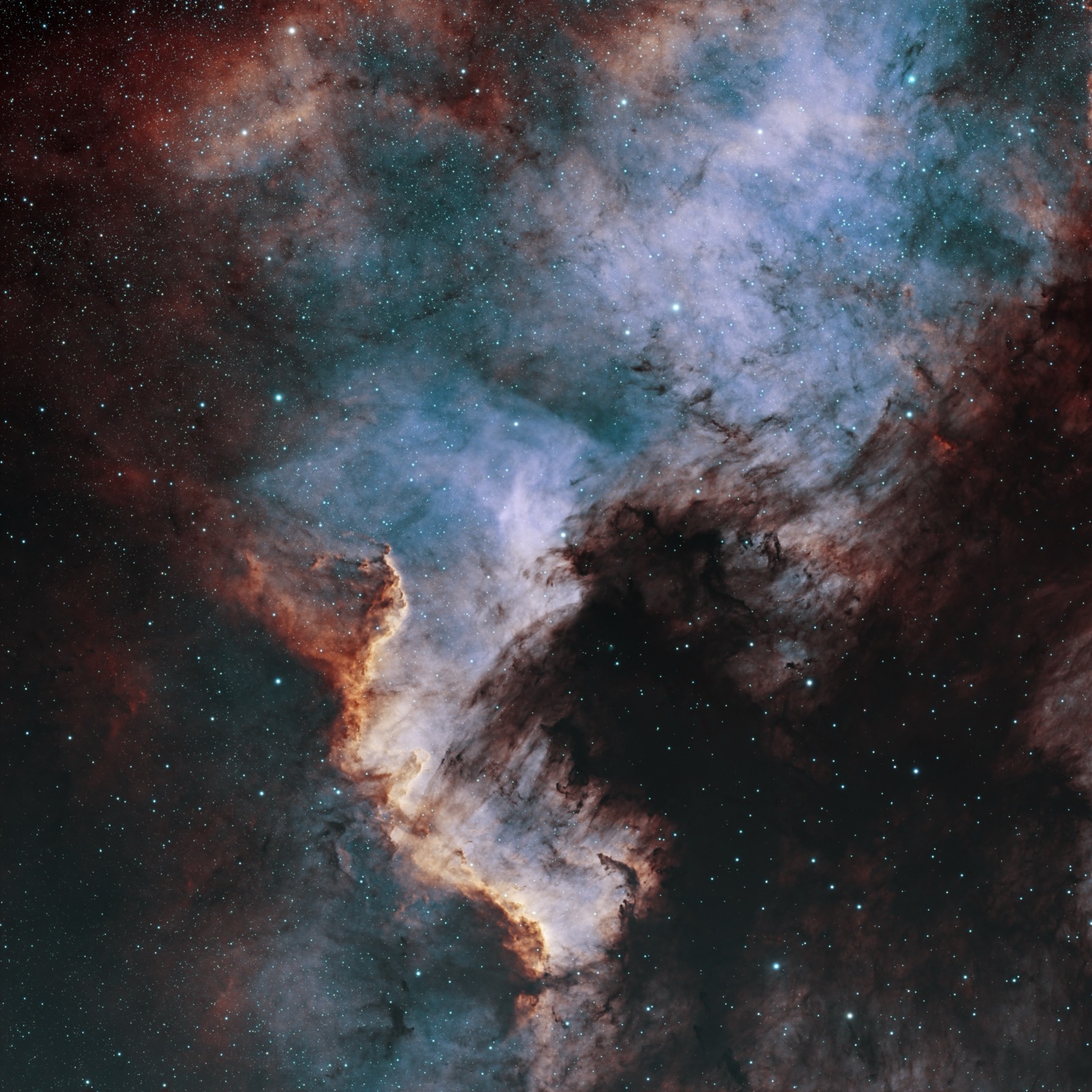 North~America~Nebula~(NGC7000)