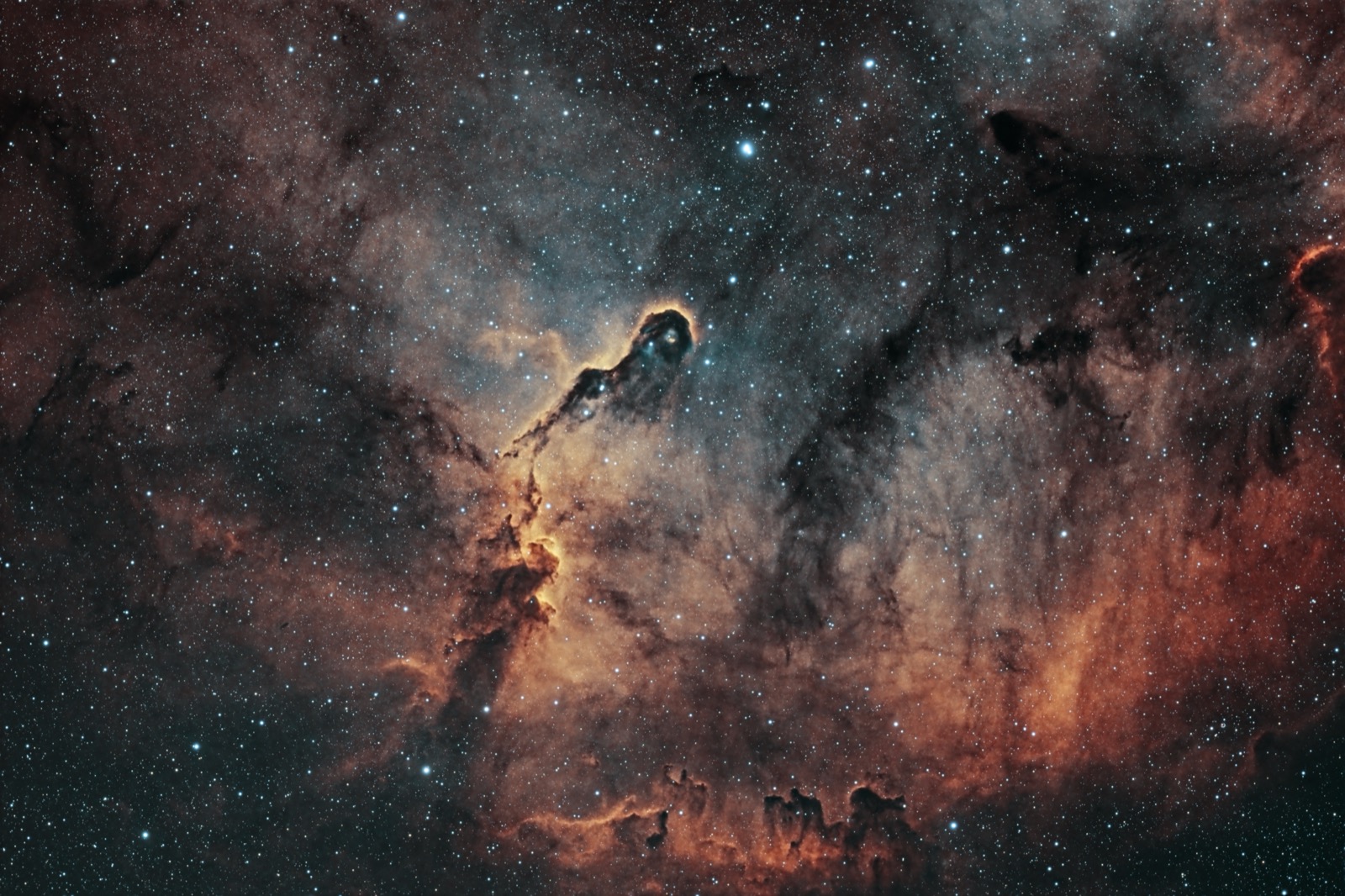 Elephant's~Trunk~(IC1396)