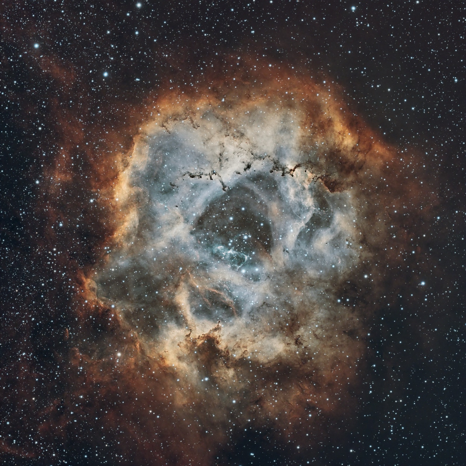 Rosette~Nebula~(Caldwell~49)