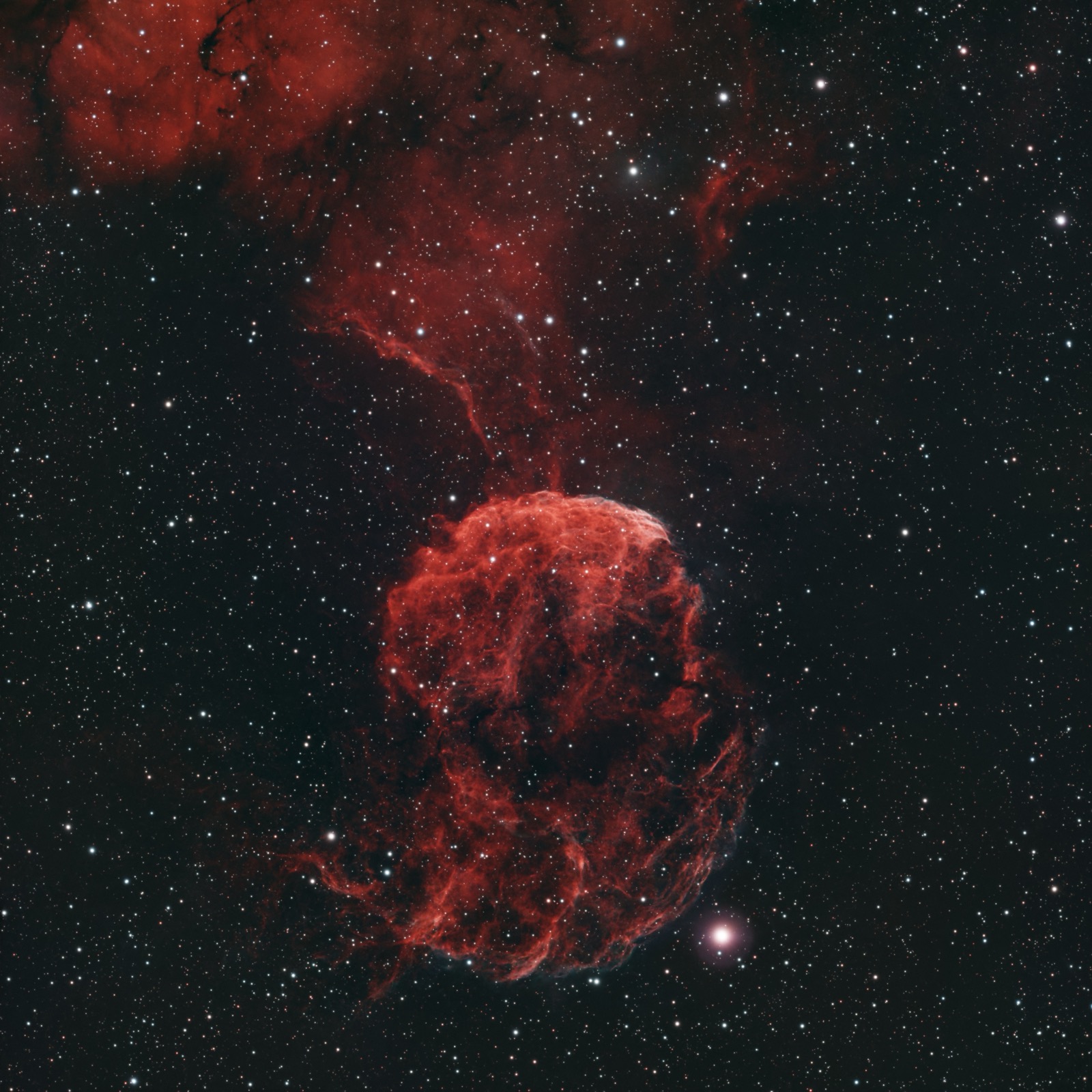 Jellyfish~Nebula~(IC443)